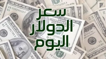 تحديثات الصرف.. سعر الدولار أمام الجنيه المصري في تعاملات السبت 3 يناير 2026